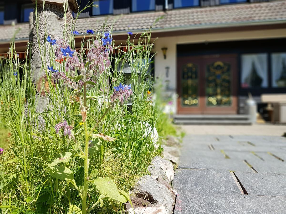 Hotel Landhaus Sonnenhof Todtnau Eksteriør billede